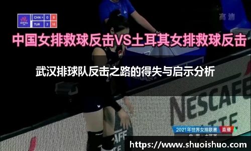 武汉排球队反击之路的得失与启示分析
